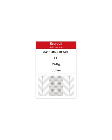 pneu pliant grand bois écureuil extra léger 650b 38mm 2