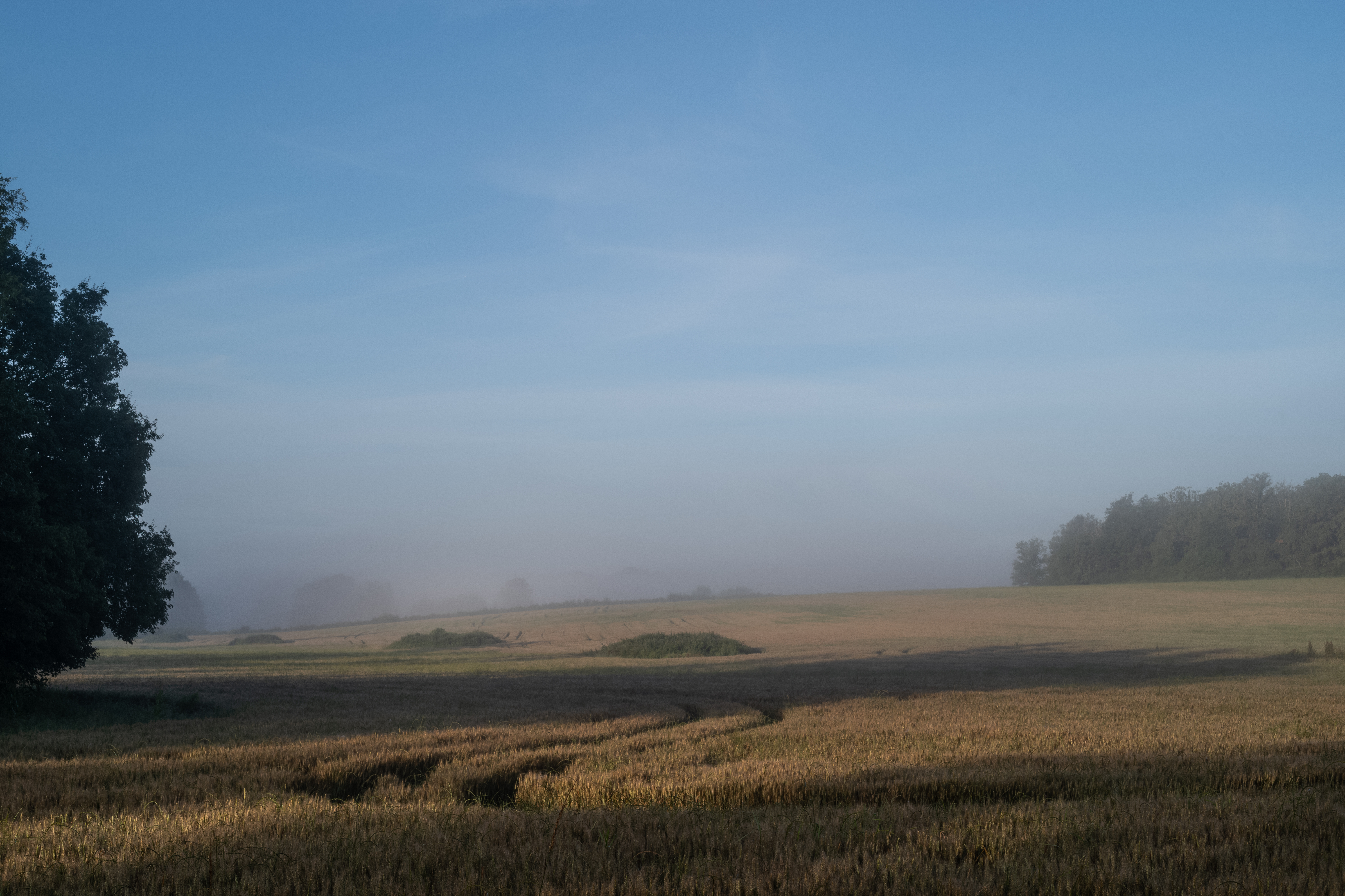 landscape seen by a cyclist on the vineyard