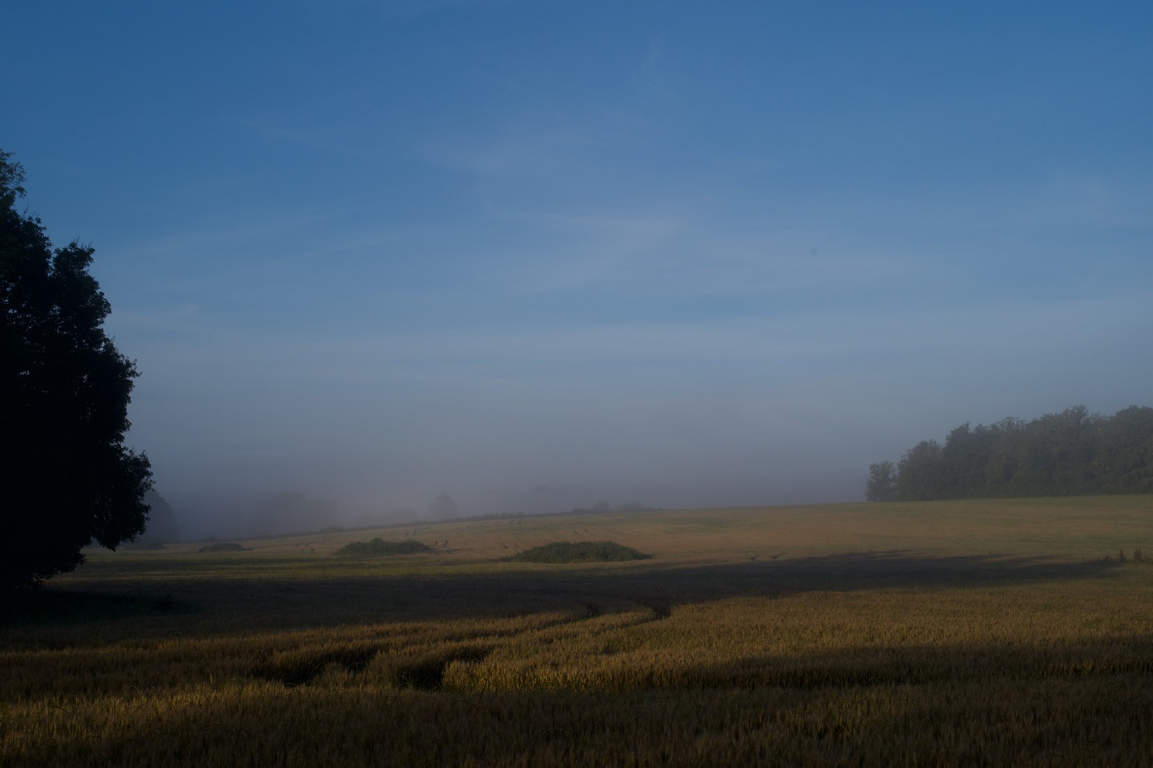 paysage avec vignoble en Sâone et Loire